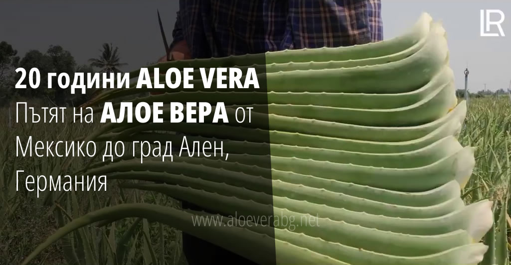 20-godini-aloe-vera-lr