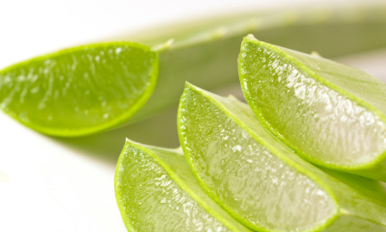 aloe vera алое вера