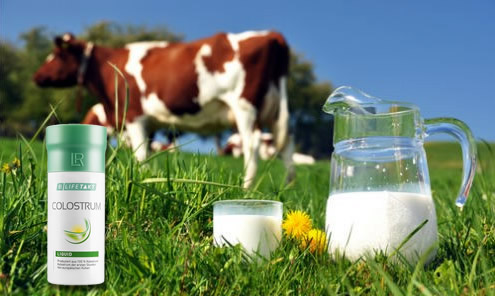 Какво е Коластра (Colostrum) и за какво се използва? Какво е Коластра (Colostrum) и за какво се използва?